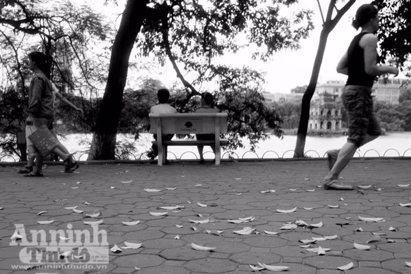 Ngắm mùa thu Hà Nội tuyệt đẹp qua những bức ảnh đen trắng ảnh 7