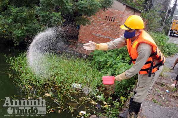 Cận cảnh công nghệ xử lý nước hồ và lọc nước uống được tại vòi được đặt hàng riêng cho Hà Nội ảnh 6