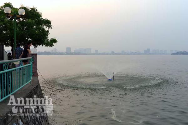 Nỗ lực "giải cứu" hồ Tây: Cá đã bơi trở lại ảnh 3 Nỗ lực "giải cứu" hồ Tây: Cá đã bơi trở lại ảnh 3