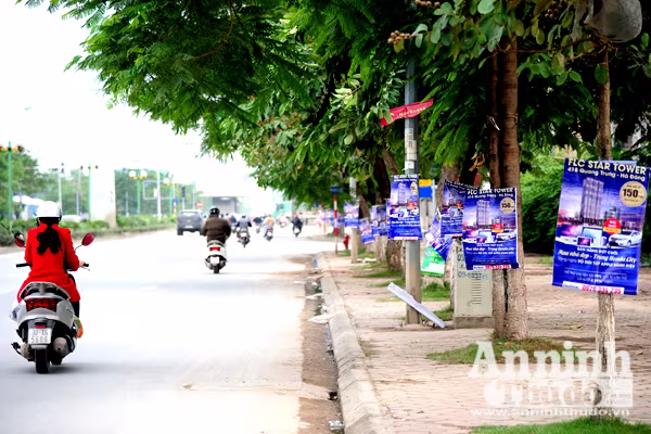 Chung cư, biêt thự đua nhau "trèo" cột điện mời gọi người mua ảnh 2 Chung cư, biêt thự đua nhau "trèo" cột điện mời gọi người mua ảnh 2