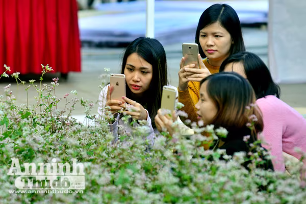 Ấn tượng đôi bạn già tạo dáng 'xì-tin' cùng hoa tam giác mạch bên hồ Gươm ảnh 4 Ấn tượng đôi bạn già tạo dáng 'xì-tin' cùng hoa tam giác mạch bên hồ Gươm ảnh 4