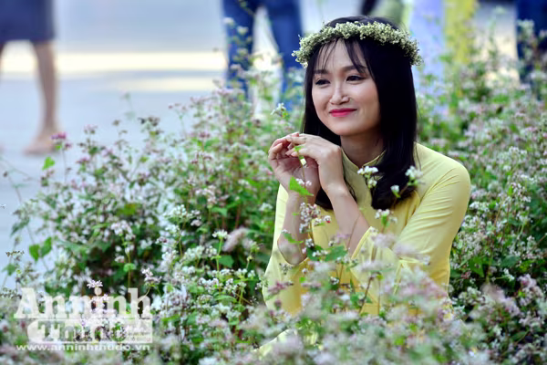 Ấn tượng đôi bạn già tạo dáng 'xì-tin' cùng hoa tam giác mạch bên hồ Gươm ảnh 7 Ấn tượng đôi bạn già tạo dáng 'xì-tin' cùng hoa tam giác mạch bên hồ Gươm ảnh 7