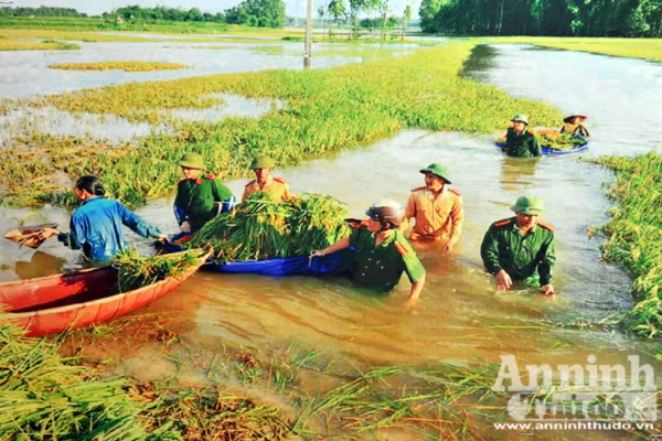 Những hình ảnh ấn tượng của lực lượng Công an nhân dân năm 2016 ảnh 2 Những hình ảnh ấn tượng của lực lượng Công an nhân dân năm 2016 ảnh 2