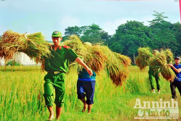 Những hình ảnh ấn tượng của lực lượng Công an nhân dân năm 2016 ảnh 4 Những hình ảnh ấn tượng của lực lượng Công an nhân dân năm 2016 ảnh 4