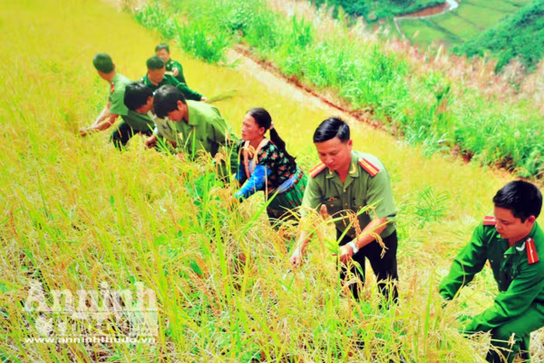 Những hình ảnh ấn tượng của lực lượng Công an nhân dân năm 2016 ảnh 7 Những hình ảnh ấn tượng của lực lượng Công an nhân dân năm 2016 ảnh 7