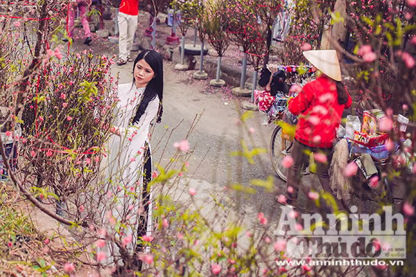 Thiếu nữ mang sắc xuân xuống phố Hà Nội ảnh 6