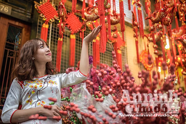 Thiếu nữ mang sắc xuân xuống phố Hà Nội ảnh 5