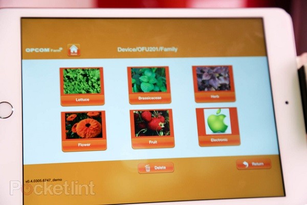Trồng rau thật bằng iPad ảnh 3 Trồng rau thật bằng iPad ảnh 3
