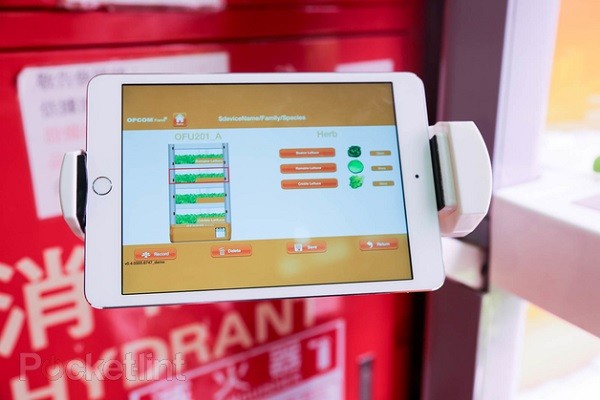 Trồng rau thật bằng iPad ảnh 4 Trồng rau thật bằng iPad ảnh 4