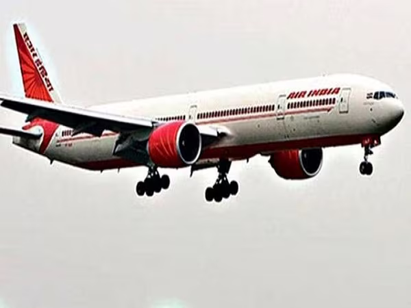 Ấn Độ: Phát hiện chuột trong tủ thức ăn trên máy bay  ảnh 1