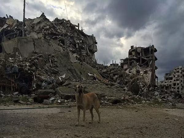 Nội chiến Syria: Cảnh tượng hoang tàn của thành phố Homs sau giải phóng ảnh 7