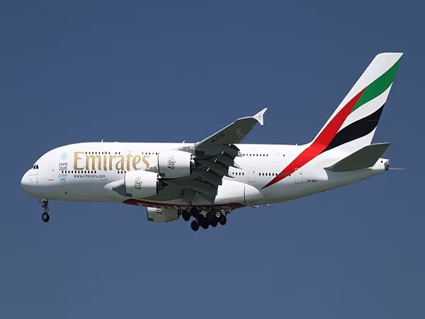 Tiết lộ gây sốc của một cựu phi công hãng hàng không Emirates ảnh 1