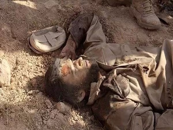 Chỉ huy hàng đầu al-Nusra Front chuyên giết trẻ em Syria thiệt mạng ở Aleppo ảnh 1