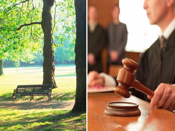 Anh: 'Quan hệ' với 'phi công' trong công viên, bà lão 79 tuổi bị bắt ảnh 2