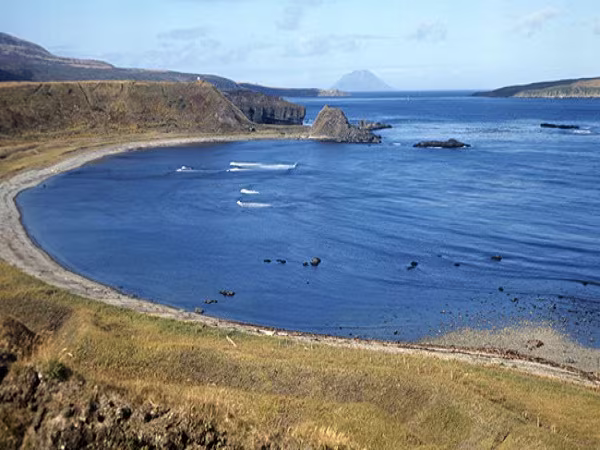 Nga phát hiện một chiến đấu cơ Nhật Bản thời Thế chiến II ở Kuril  ảnh 1