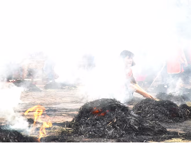 Khi rơm cháy hết, cũng là lúc nồi cơm cạn nước. Các đội thi sẽ vun thành từng đống như thế này xung quanh nồi cơm để cơm chín đều, dẻo, thơm. Sau đó, các cụ trong Ban tổ chức sẽ gõ trống và đi tìm các nồi cơm trong các đống tro than rơm trên sân đình. Khi rơm cháy hết, cũng là lúc nồi cơm cạn nước. Các đội thi sẽ vun thành từng đống như thế này xung quanh nồi cơm để cơm chín đều, dẻo, thơm. Sau đó, các cụ trong Ban tổ chức sẽ gõ trống và đi tìm các nồi cơm trong các đống tro than rơm trên sân đình.