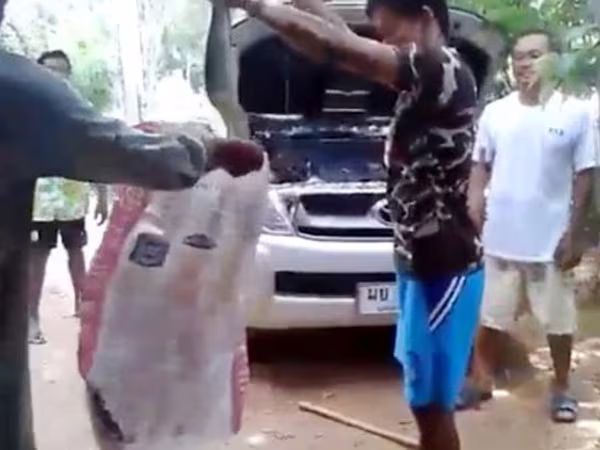 Thót tim xem tay không bắt trăn sống trong khoan động cơ ôtô ảnh 4 Thót tim xem tay không bắt trăn sống trong khoan động cơ ôtô ảnh 4