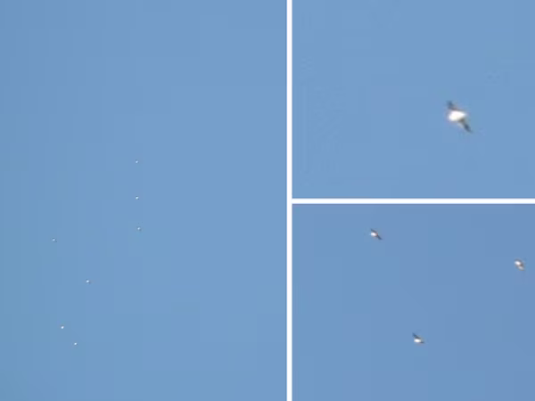 Chộp được khoảnh khắc “phi đội UFO” lượn lờ trên bầu trời Tây Ban Nha ảnh 2 Chộp được khoảnh khắc “phi đội UFO” lượn lờ trên bầu trời Tây Ban Nha ảnh 2