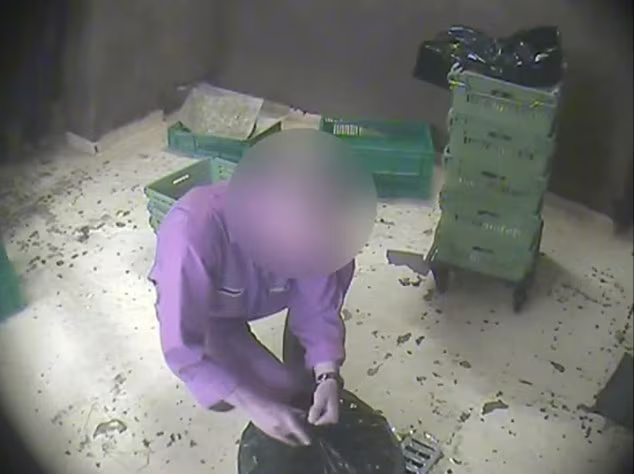 Hãi hùng cảnh xay nát gà trống con trong trại gà  ảnh 4