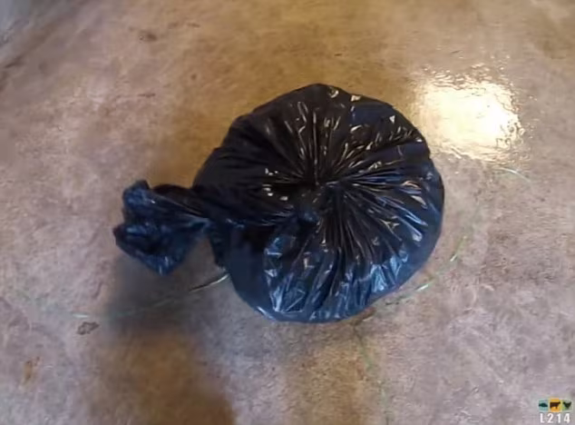 Hãi hùng cảnh xay nát gà trống con trong trại gà ảnh 5 Hãi hùng cảnh xay nát gà trống con trong trại gà ảnh 5