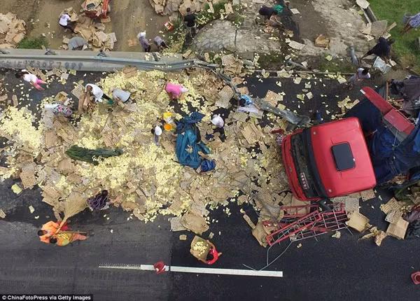 Trung Quốc: Xe tải chở gà con lật, dân địa phương tranh nhau "hôi của" ảnh 6