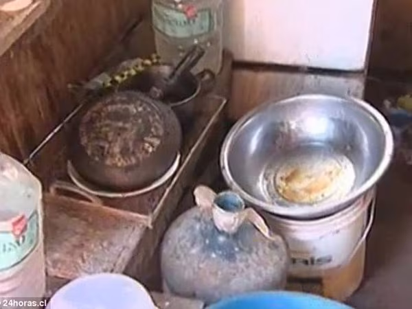 Em bé 2 tuổi sống sót kỳ diệu nhờ được bú sữa của "cô chó tốt bụng" ảnh 4 Em bé 2 tuổi sống sót kỳ diệu nhờ được bú sữa của "cô chó tốt bụng" ảnh 4