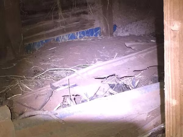 Phát hiện ổ rắn độc hơn 24 con trong nhà ở Texas, Mỹ ảnh 6 Phát hiện ổ rắn độc hơn 24 con trong nhà ở Texas, Mỹ ảnh 6