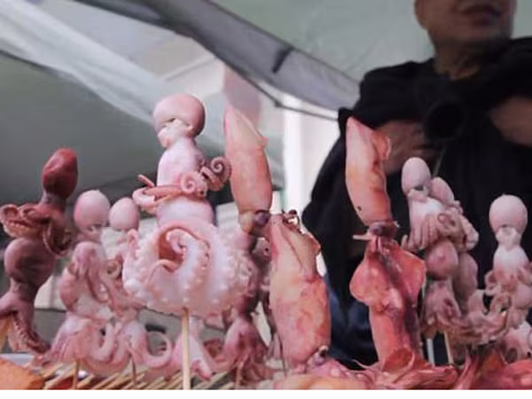 Đám đông đổ về Nagaoka, tham gia lễ hội "sinh thực khí nam" lớn nhất Nhật Bản ảnh 6 Đám đông đổ về Nagaoka, tham gia lễ hội "sinh thực khí nam" lớn nhất Nhật Bản ảnh 6