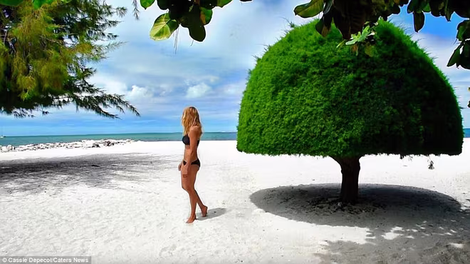 Cô gái đi vòng quanh thế giới với tốc độ nhanh kỷ lục ảnh 5 Cô gái đi vòng quanh thế giới với tốc độ nhanh kỷ lục ảnh 5