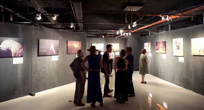 Đẹp mê hồn những tuyệt phẩm ảnh động vật hoang dã ảnh 15 Đẹp mê hồn những tuyệt phẩm ảnh động vật hoang dã ảnh 15