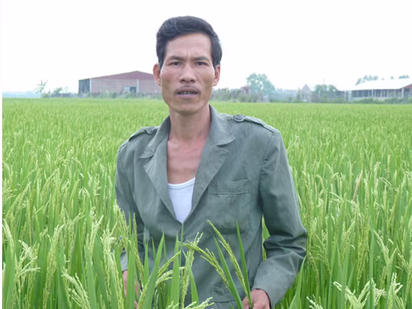 Bản án 15 năm tù và giá trị mỗi ngày tự do ảnh 1 Bản án 15 năm tù và giá trị mỗi ngày tự do ảnh 1