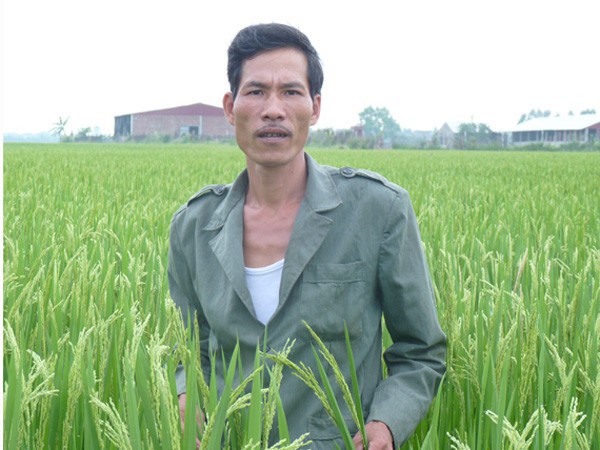 Bản án 15 năm tù và giá trị mỗi ngày tự do ảnh 1 Bản án 15 năm tù và giá trị mỗi ngày tự do ảnh 1