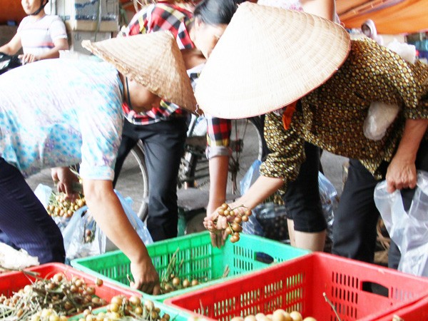 Bán lẻ tùy tiện, hoa quả Việt mất giá ảnh 1 Bán lẻ tùy tiện, hoa quả Việt mất giá ảnh 1