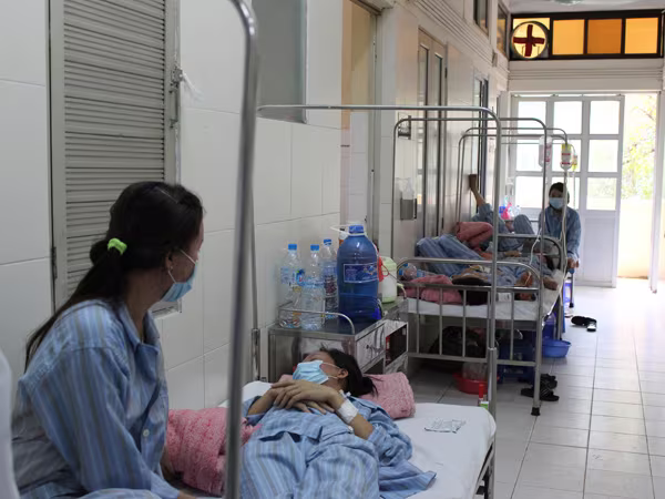 Không tự ý điều trị sốt xuất huyết tại nhà ảnh 1 Không tự ý điều trị sốt xuất huyết tại nhà ảnh 1
