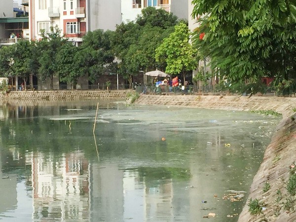 Nước hồ Đầm Tròn ngày càng bốc mùi nặng ảnh 1 Nước hồ Đầm Tròn ngày càng bốc mùi nặng ảnh 1