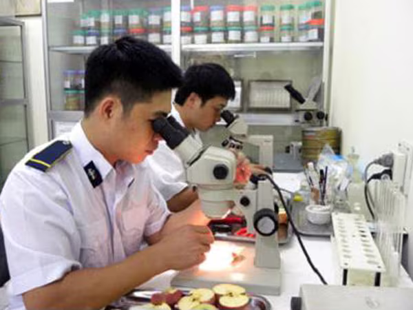 Thông quan hàng hóa xuất, nhập khẩu: Ách tắc bởi quy định chồng chéo ảnh 1 Thông quan hàng hóa xuất, nhập khẩu: Ách tắc bởi quy định chồng chéo ảnh 1