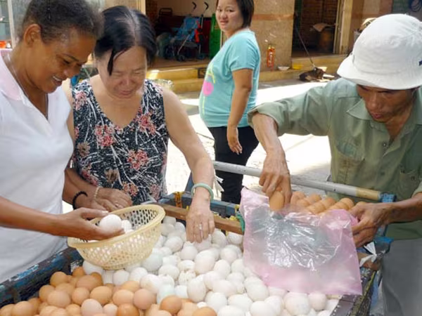 Trứng gà tăng giá ảnh 1 Trứng gà tăng giá ảnh 1