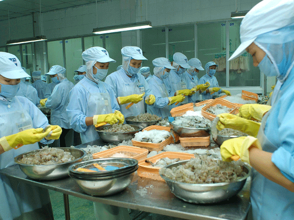 Đón cơ hội từ TPP: Doanh nghiệp nội lo khó cạnh tranh ảnh 1 Đón cơ hội từ TPP: Doanh nghiệp nội lo khó cạnh tranh ảnh 1
