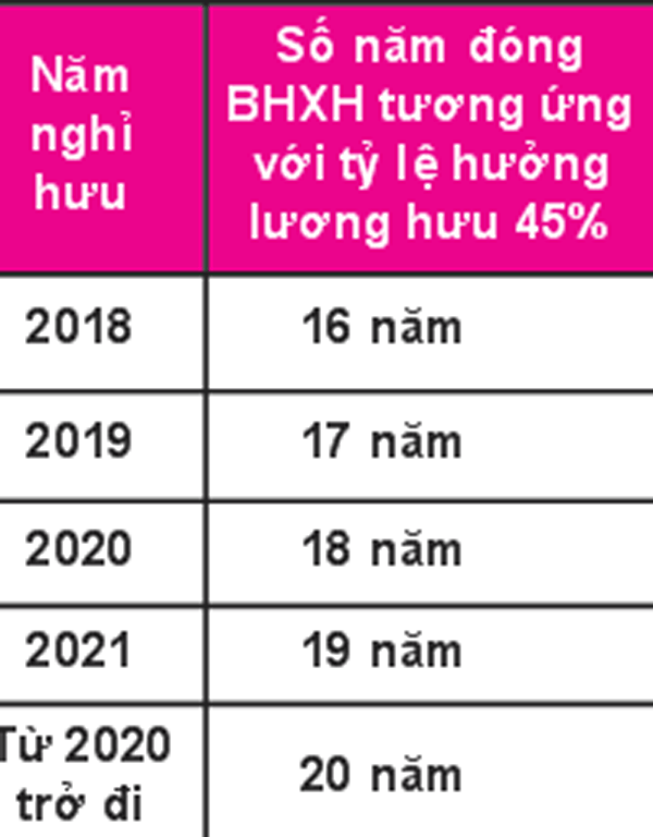 Cách tính mức lương hưu hàng tháng theo quy định mới nhất ảnh 2 Cách tính mức lương hưu hàng tháng theo quy định mới nhất ảnh 2