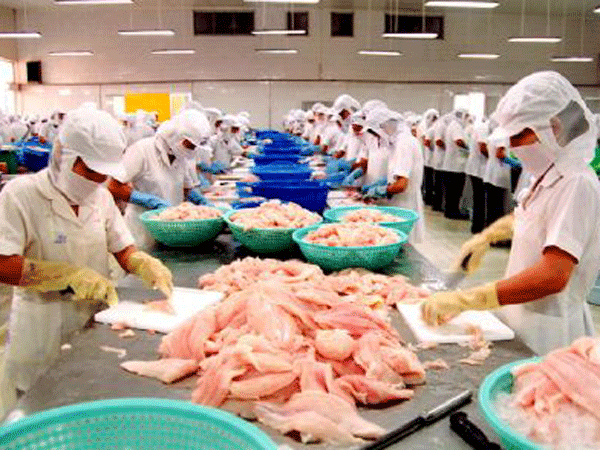 Hàng Việt tới Hàn Quốc, Pháp, Đức ảnh 1 Hàng Việt tới Hàn Quốc, Pháp, Đức ảnh 1