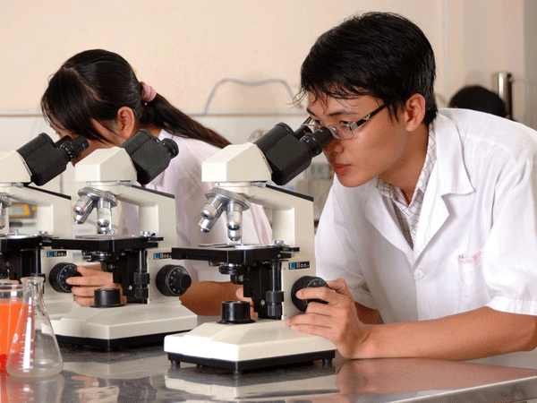 Kế hoạch tinh giản biên chế, cơ cấu lại đội ngũ cán bộ  ảnh 1