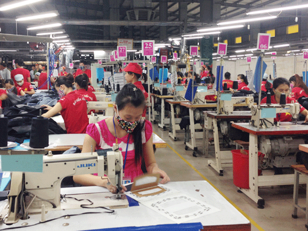 Các khoản thu nhập tính vào lương đóng bảo hiểm xã hội: Doanh nghiệp lúng túng chờ hướng dẫn ảnh 1 Các khoản thu nhập tính vào lương đóng bảo hiểm xã hội: Doanh nghiệp lúng túng chờ hướng dẫn ảnh 1
