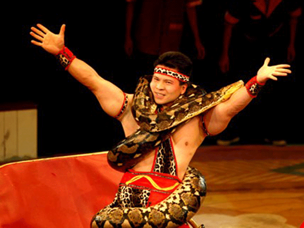 Sắc màu dân tộc Việt tại Gala xiếc quốc tế  ảnh 1 Sắc màu dân tộc Việt tại Gala xiếc quốc tế  ảnh 1