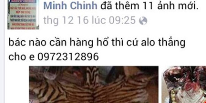 Rao bán động vật hoang dã trên Internet, phạm tội gì? ảnh 1 Rao bán động vật hoang dã trên Internet, phạm tội gì? ảnh 1