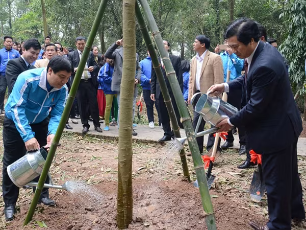 Tuổi trẻ Thủ đô  phát động "Tết trồng cây xuân Bính Thân" ảnh 1