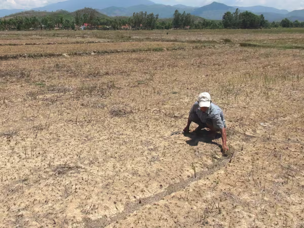 Hạn hán khốc liệt, nắng nóng cường độ mạnh đến sớm ảnh 1 Hạn hán khốc liệt, nắng nóng cường độ mạnh đến sớm ảnh 1