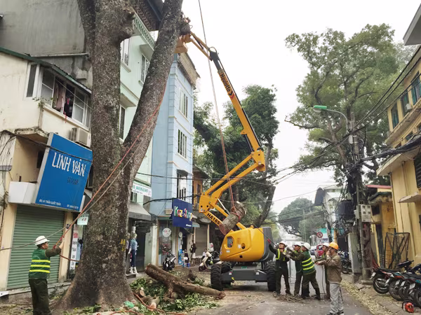 TP Hà Nội cắt tỉa cây xanh bằng công nghệ mới: Hiệu suất công việc tăng gấp 5 lần ảnh 1 TP Hà Nội cắt tỉa cây xanh bằng công nghệ mới: Hiệu suất công việc tăng gấp 5 lần ảnh 1