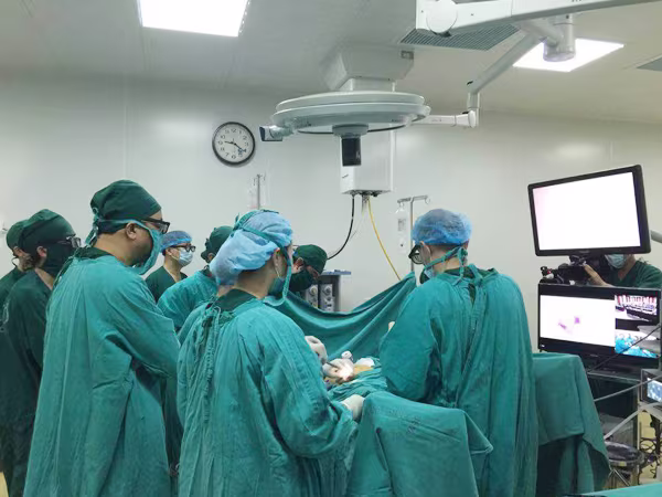 Chuyên gia Pháp "thị phạm" phẫu thuật nội soi 3D ảnh 1