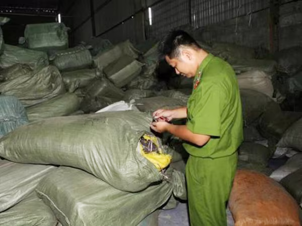 Buôn củi, bán kim cương, tại sao? ảnh 1 Buôn củi, bán kim cương, tại sao? ảnh 1