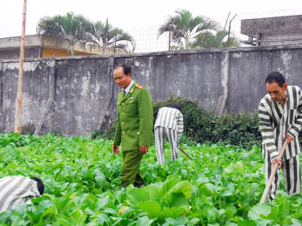 Hợp nhất trại tạm giam số 2 và số 3 - CATP Hà Nội: Đáp ứng tốt hơn nữa công tác cải cách tư pháp ảnh 1